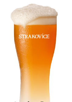 Strakovice Psenice